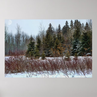 Winter Colours Poster