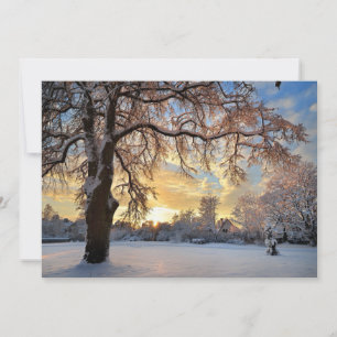 Winter Countryside In Latvia