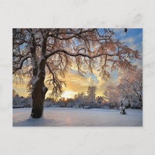 Winter Countryside In Latvia Postcard