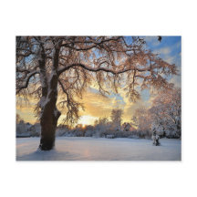 Winter Countryside In Latvia