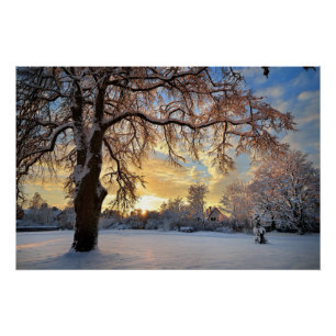 Winter Countryside In Latvia Poster