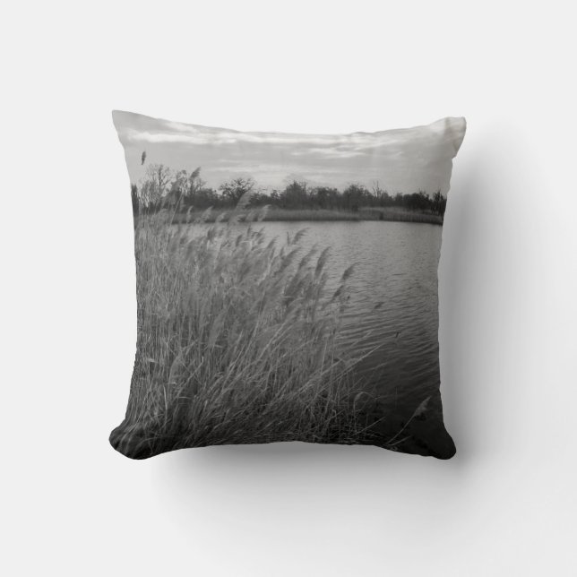 Winter Cove Pillow (Front)