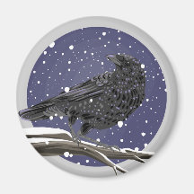 Winter Crow