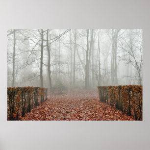 Winter day near Lembeek, Belgium Poster