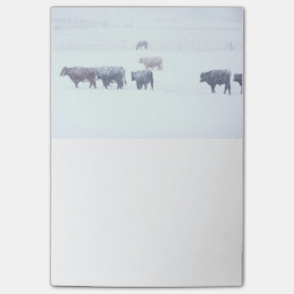 Winter Days Post-it Notes