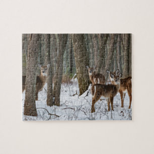Winter Deer 10x8 challenging Jigsaw Puzzle