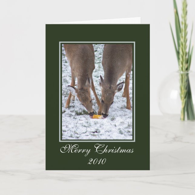 Winter Deer/ Christmas Card (Front)