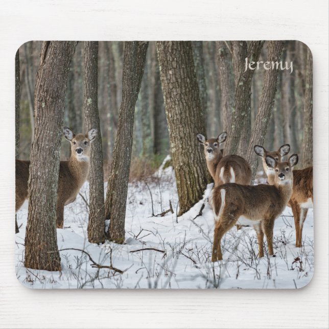 Winter Deer Mouse Pad (Front)