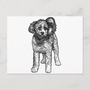 Winter Dot Post Postcard