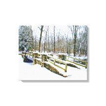 "Winter Dreams"