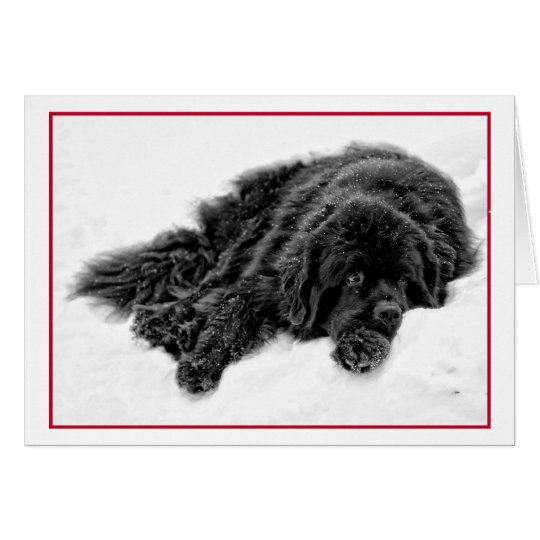 Winter Dreams Card