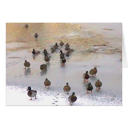 Winter Duck Card