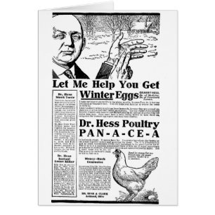 Winter Eggs