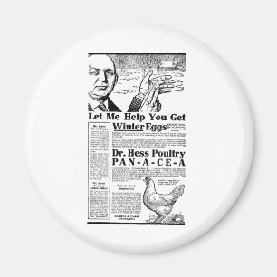 Winter Eggs Magnet