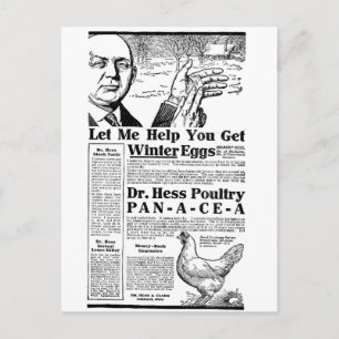 Winter Eggs Postcard