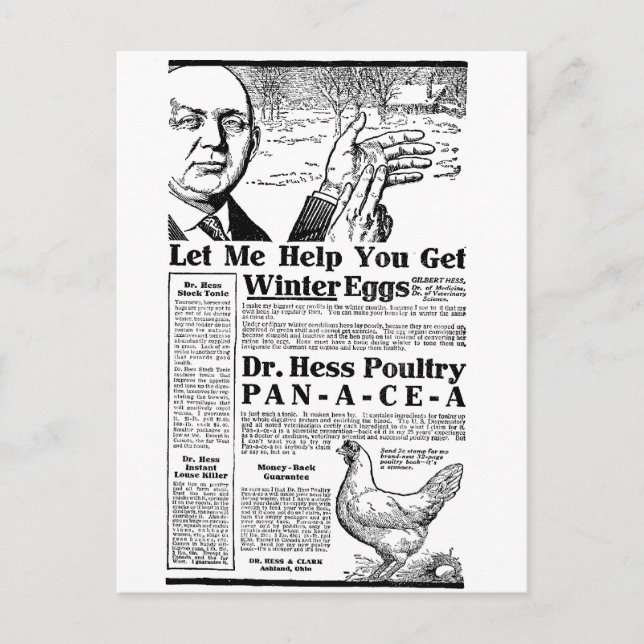 Winter Eggs Postcard (Front)