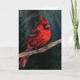 Winter Evergreen Primitive Christmas Red Cardinal Holiday Card