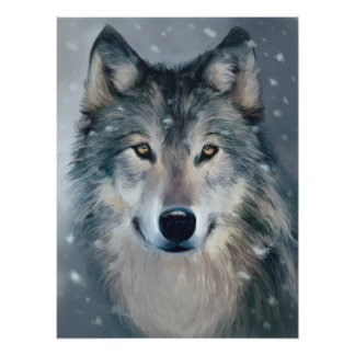 Winter Eyes Photo Print