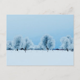 Winter Farm Postcard