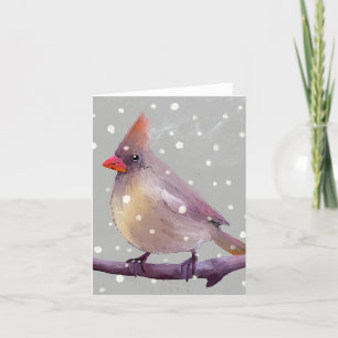 Winter Female Cardinal in Snow BLANK Greeting Card