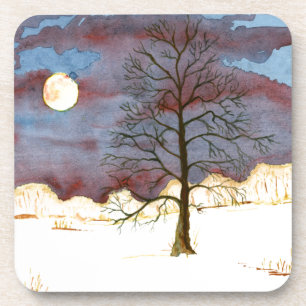 Winter Field Coaster