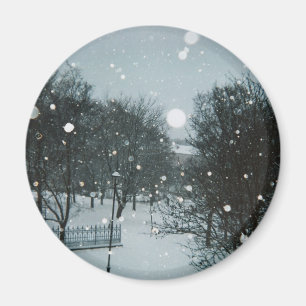 Winter Flakes Magnet