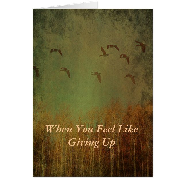 Winter Flight (Front)