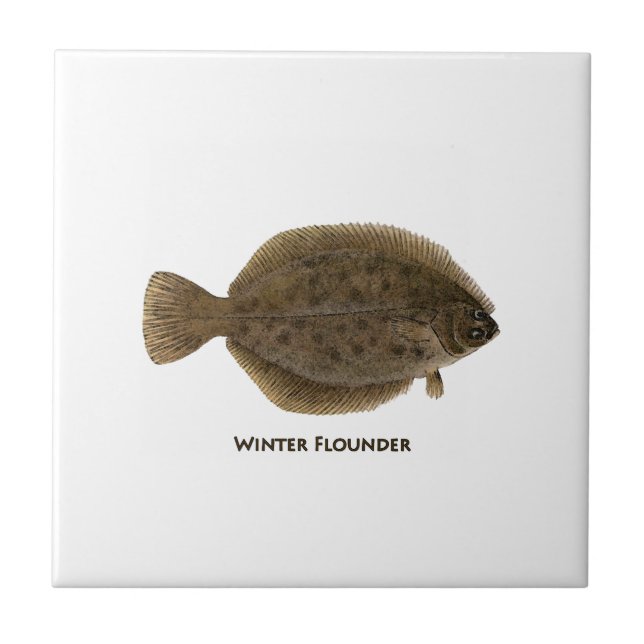 Winter Flounder Ceramic Tile (Front)