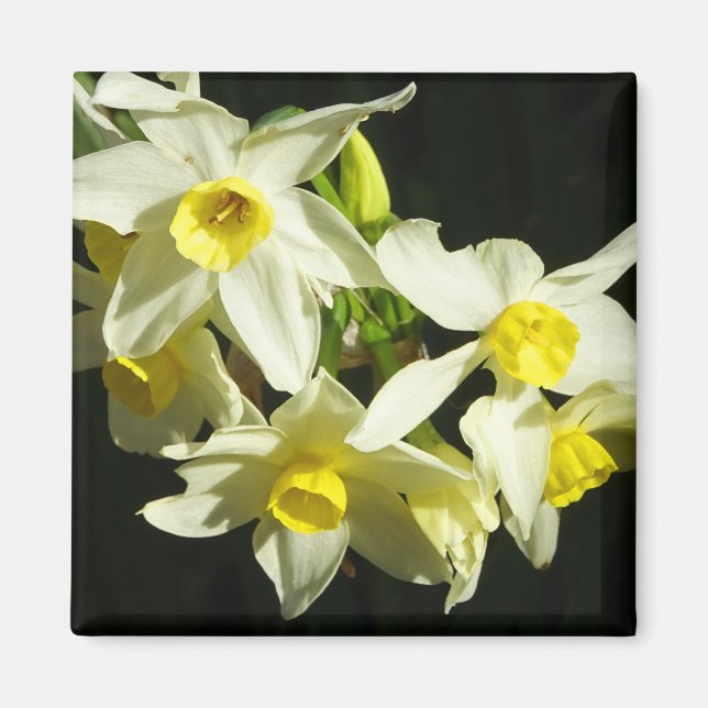 Winter Flowers Magnet (Front)