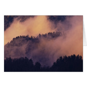 Winter fog in valley at sunset from Morton