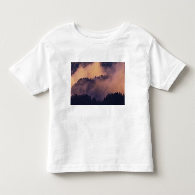 Winter fog in valley at sunset from Morton Toddler T-Shirt (Front)