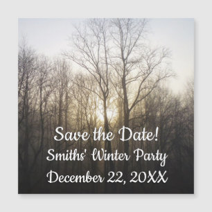 Winter Fog Sunrise Nature Photography