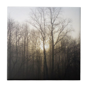 Winter Fog Sunrise Nature Photography Ceramic Tile