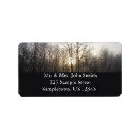 Winter Fog Sunrise Nature Photography