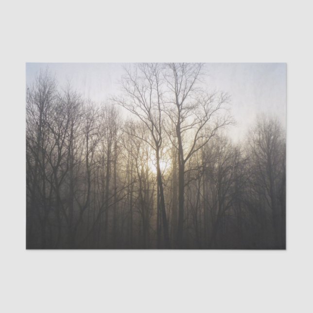 Winter Fog Sunrise Nature Photography Tissue Paper (Front)