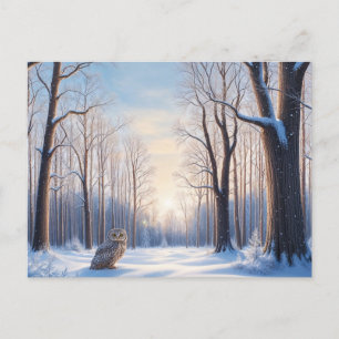 Winter Forest Covered in Snow and Owl  Postcard