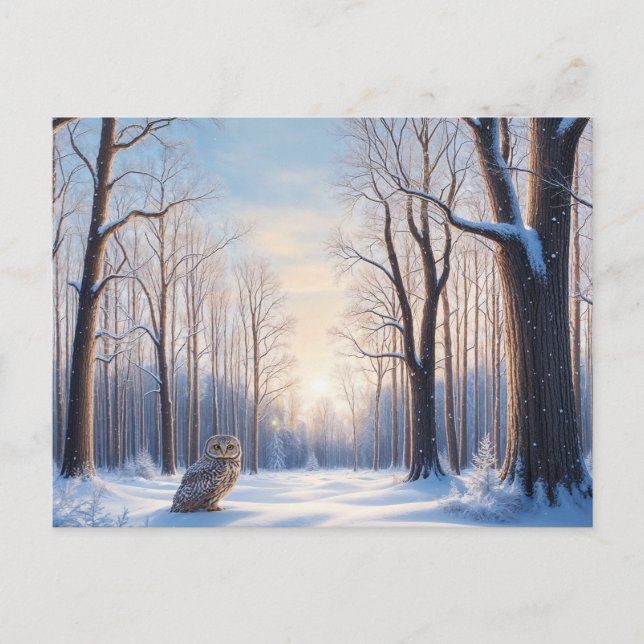 Winter Forest Covered in Snow and Owl  Postcard (Front)