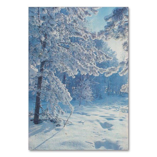 Winter forest in the Soviet Union Table Number (Front)