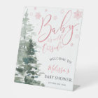 Winter Forest Pink Baby Shower Welcome