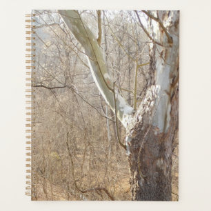 winter forest planner