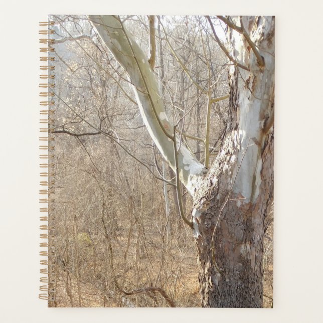 winter forest planner (Front)