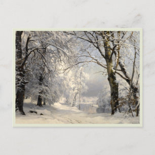 Winter Forest Postcard