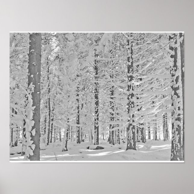 winter forest poster (Front)