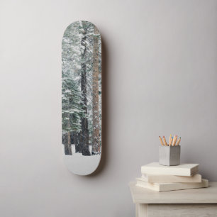 Winter Forest Snow Rustic Wilderness Outdoors Skateboard