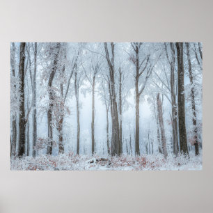 Winter forest trees #21 poster