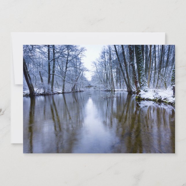 Winter Forest with Beautiful Stream (Front)
