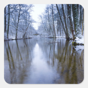 Winter Forest with Beautiful Stream Square Sticker