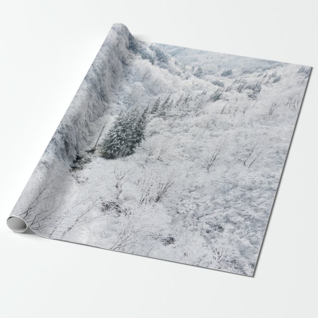 Winter forest wrapping paper (Unrolled)