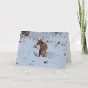 Winter Fox Card