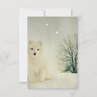 Winter Fox Christmas Cards